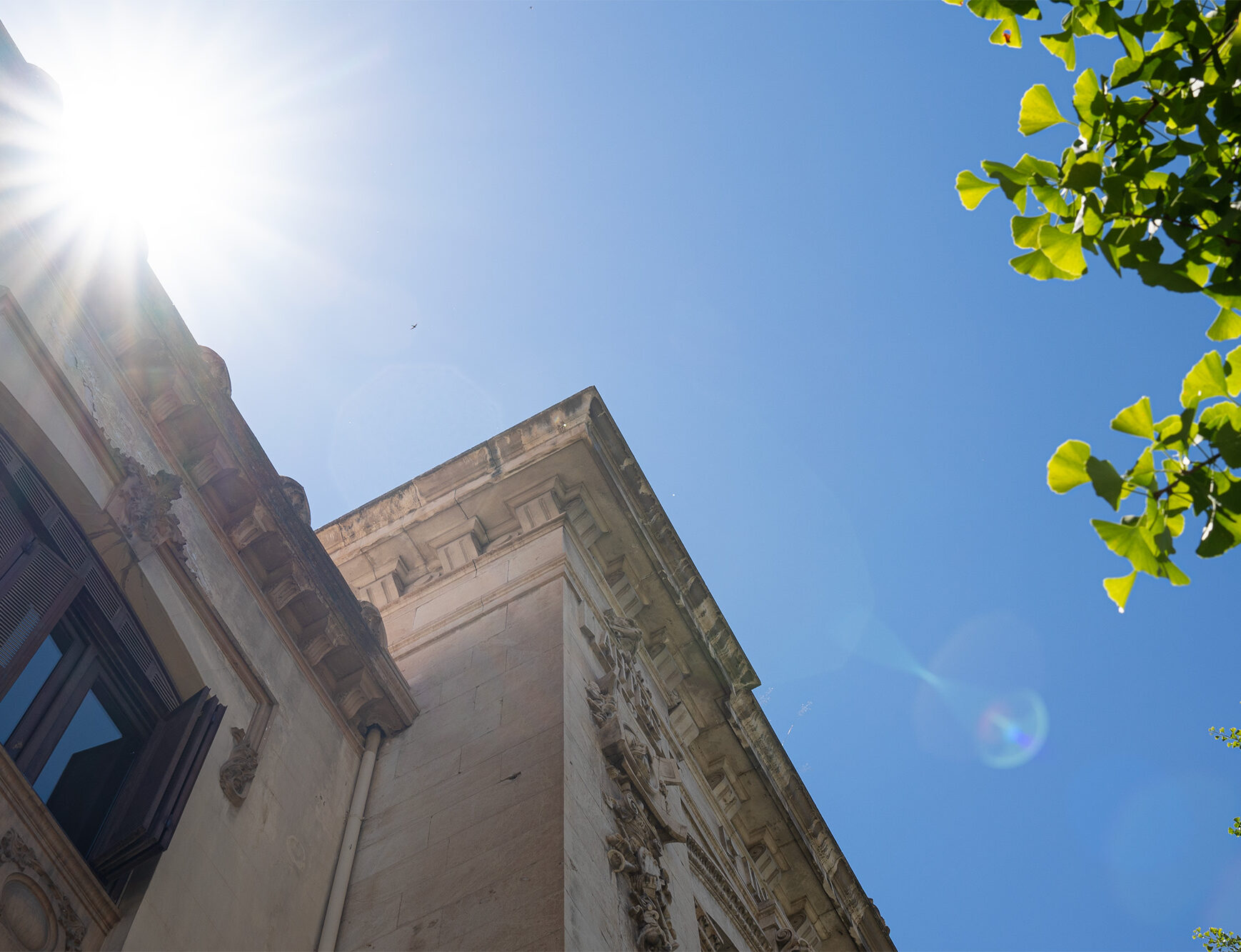 Aerial photo taken of the sun and building in Granada. There is also green tree in the background.